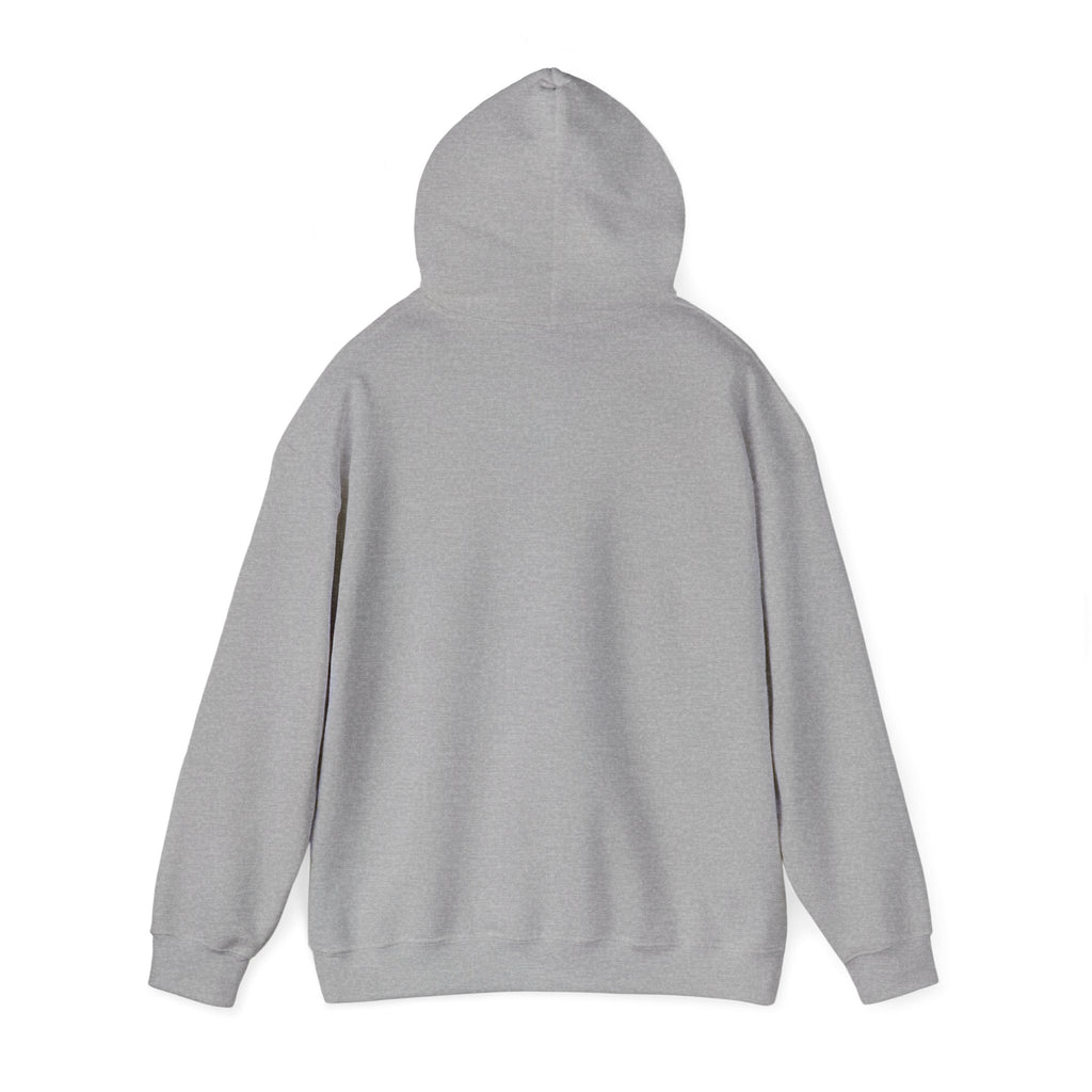 Booked, Busy and Unbothered Hoodie — Cozy Reading Lover Pullover